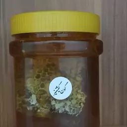 عسل گون گشنیز  طبیعی(900 گرمی) محصول غرفه مزرعه خونه