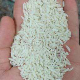 برنج طارم هاشمی (1کیلویی) کشت اول خوش عطر غربال و سورت شده 