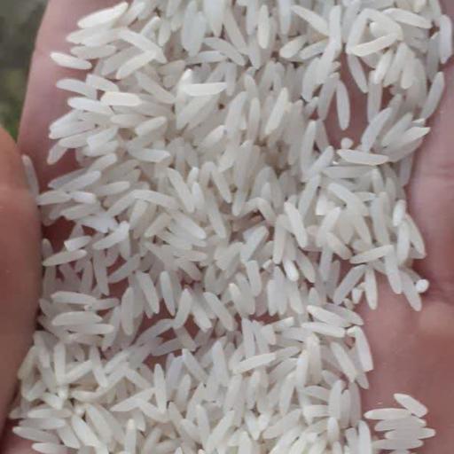 برنج فجر (1کیلوئی) خوش عطر صداقت