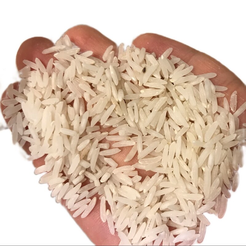 برنج معطر طارم هاشمی محصول فریدونکنار در بسته های 10 کیلویی