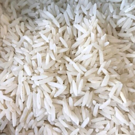 برنج خوشپخت و مجلسی مروارید محصول مازندران در بسته های 10 کیلویی