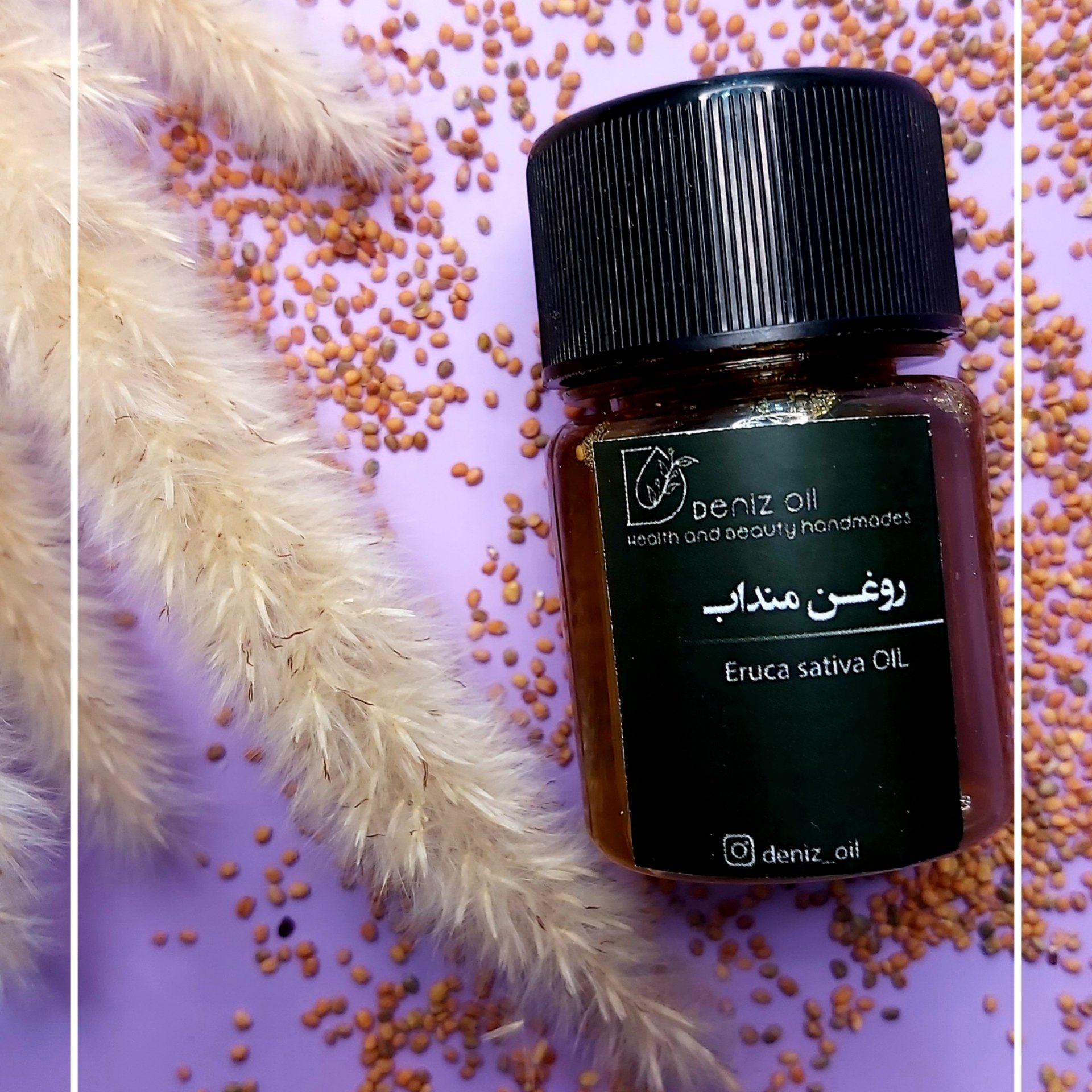 روغن منداب خالص تولید به روش پرس سرد