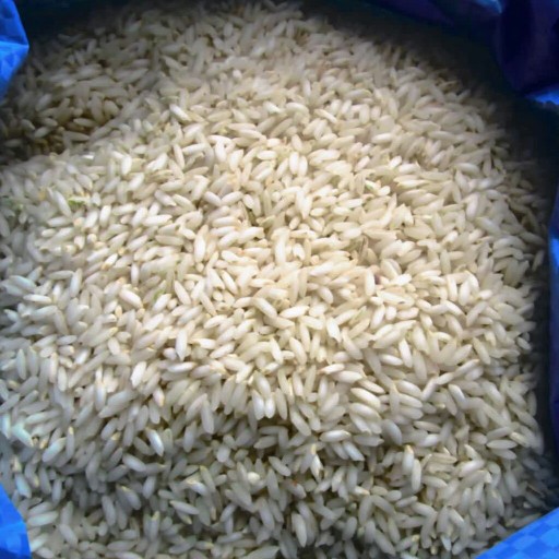 برنج ایرانی عنبربو گونی 10کیلویی
