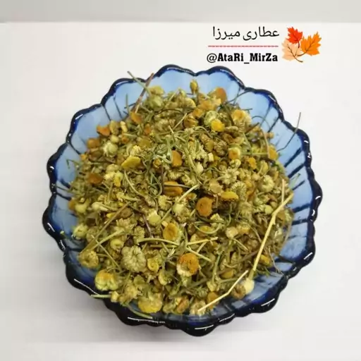 گل بابونه شیرازی اعلاء میرزا (50 گرم) 