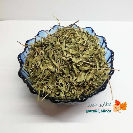 برگ کاکوتی اعلاء میرزا ( 500 گرم ) دمنوش و چای (آنُخ) 