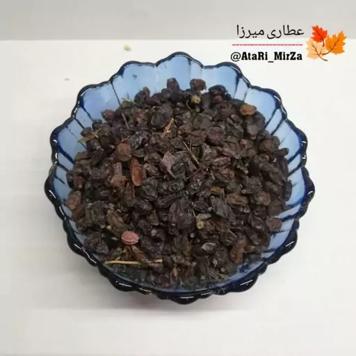 زرشک کوهی اعلاء میرزا (100 گرم) 