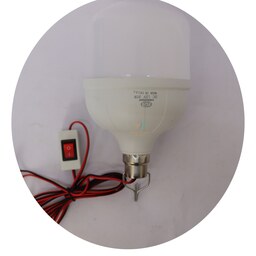 لامپ سیار خودرو 30 وات  - فروش عمده لوازم یدکی خودرو الکتوبکا 2698