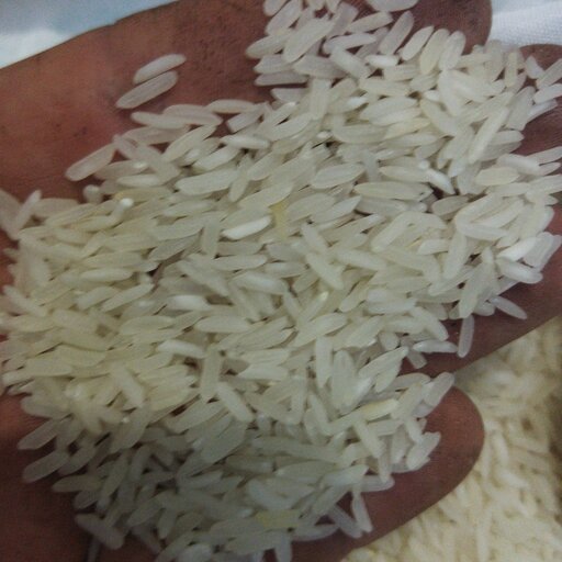 برنج ایرانی خوشپخت (10کیلویی