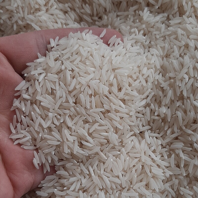 برنج طارم فجر درجه 1  گرگان خوشپخت معطر و مجلسی کیسه 10 کیلویی 