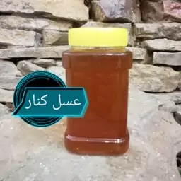 عسل طبیعی مرغوب کنار  آل عبا (سدر)