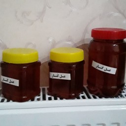 عسل کنار خالص مستقیم از زنبوردار (پس کرایه)