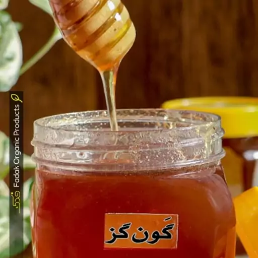 عسل طبیعی گون گز فدک (1کیلو)