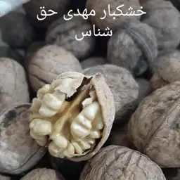 گردوی پرچرب و امساله کردستان (900 گرمی)