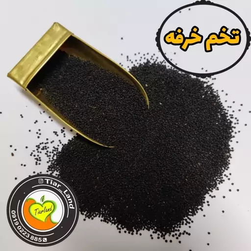 تخم خرفه درجه یک تیارمزه ، سورت شده و لیزری