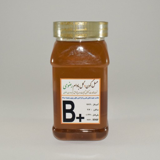 عسل گون بادام (1000 گرم با ظرف)