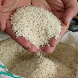 برنج طارم هاشمی گیلان فوق اعلا پخت عالی ویکدست 
