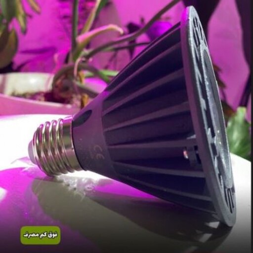 لامپ رشد گیاه  50 وات سرپیچ معمولی