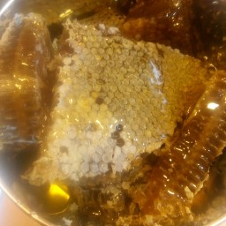 عسل کوهی سیاه دانه موم دار