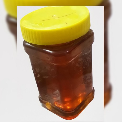 عسل کُنار امسالی تضمین کیفیت 1000 گرمی