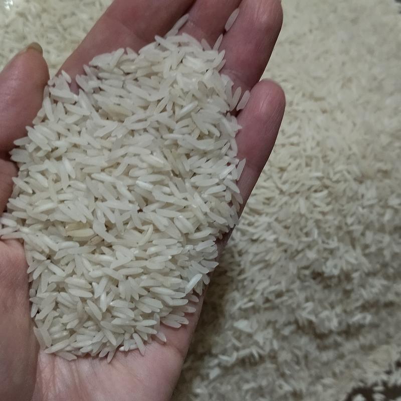 برنج فجر عمده، فقط 39 تومان! ارسال رایگان تا باربری شهر مقصد، حداقل فروش 500 کیلو.