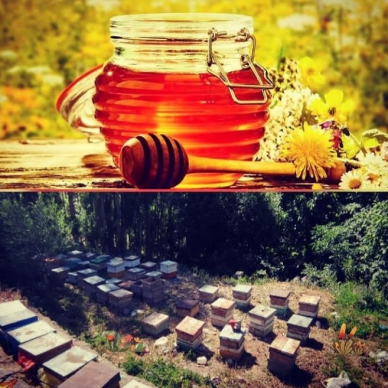 عسل طبیعی و ارگانیک تهیه شده از دامنه های سهند