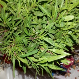 بذر مرزه اعلاء بسته 250 گرمی