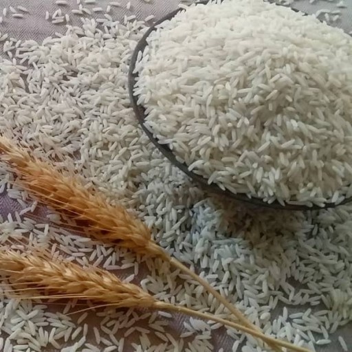 برنج هاشمی تازه ممتاز درجه1_ 10کیلویی/تضمین کیفیت