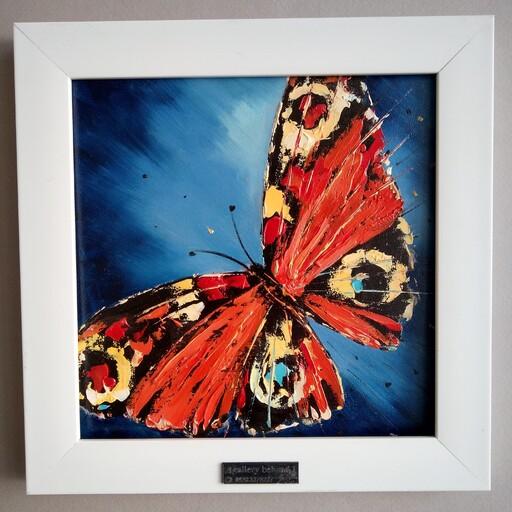 تابلو نقاشی پروانه  رنگ روغن