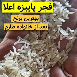 برنج فجر  عطری مجلسی تکرار نشدنی با ارسال رایگان بسته 5 کیلویی