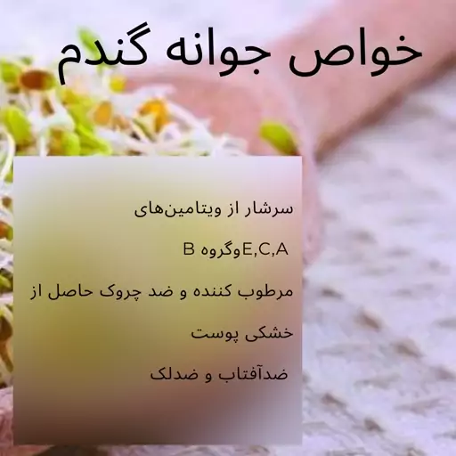 صابون گیاهی دستساز جوانه گندم  (ویتامینه و آنتی باکتریال)