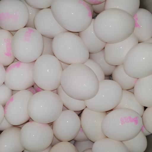 روغن زرده تخم مرغ غلیظ نهال (بایو پرس ) - 30 میل