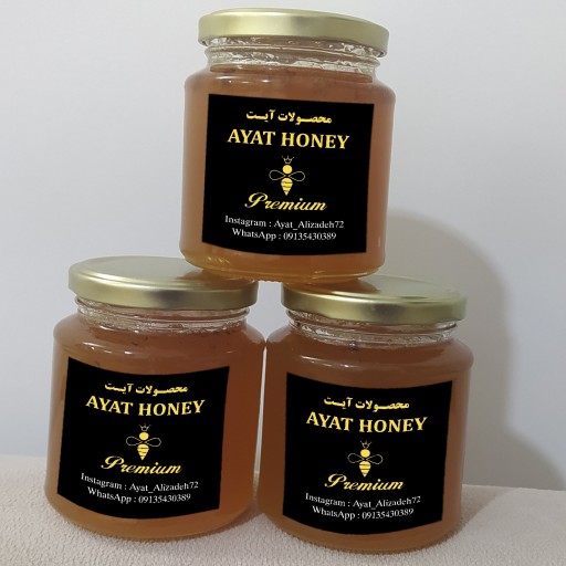 عسل طلایی 🥇 نیم کیلویی وحشی