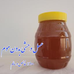 عسل وحشی بدون موم-1000گرم- عسل کوهی جنوب فارس، عسل وحشی