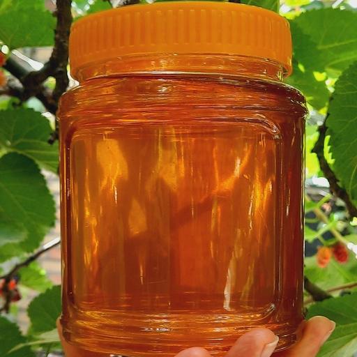 عسل طبیعی شهد و مومدار چهل گیاه( 1 کیلویی) 