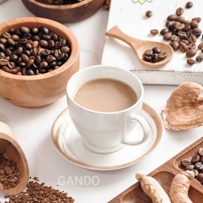 قهوه فوری گانودرما و ریشه جینسینگ  7 در 1  120 گرمی