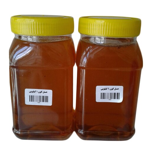 عسل گون طبیعی مستقیم از زنبور دار یک کیلویی غرفه آنلاین شاپ ارزان فروش در مشهد