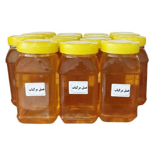 عسل مرکبات اعلا یک کیلویی مناسب برای دیابت غرفه آنلاین شاپ ارزان فروش در مشهد