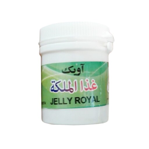 ژل رویال غذای ملکه زنبور عسل 10 گرم ژل خالص غرفه آنلاین شاپ ارزان فروش در مشهد