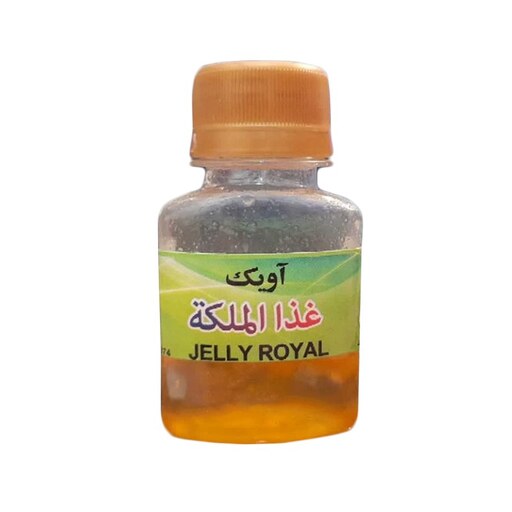 ژل رویال غذای ملکه زنبور عسل 10 گرم ژل خالص غرفه آنلاین شاپ ارزان فروش در مشهد