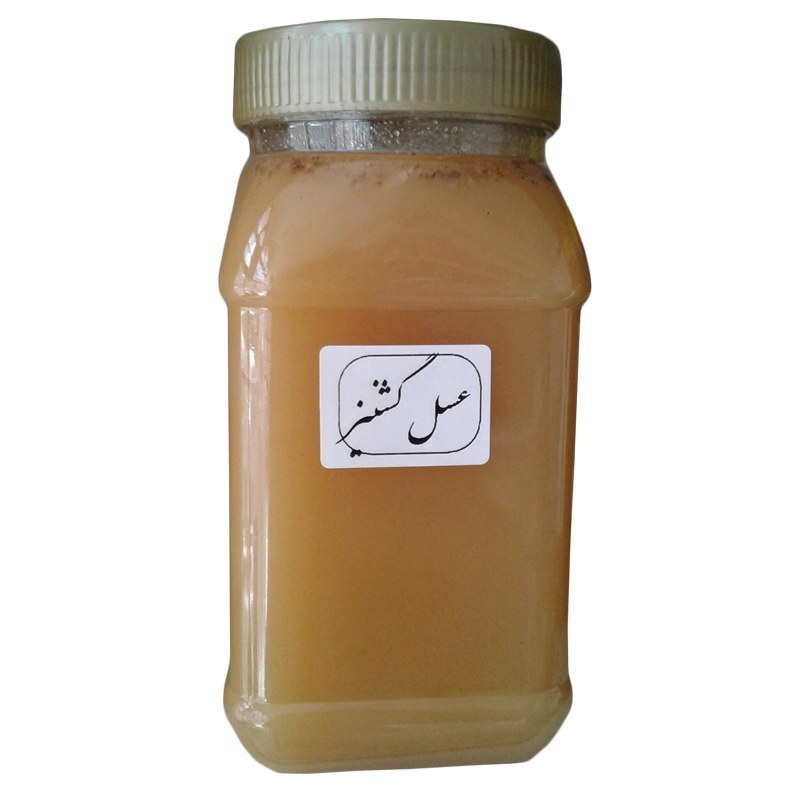 عسل گشنیز اعلا مستقیم از زنبور دار یک کیلویی غرفه آنلاین شاپ ارزان فروش مشهد