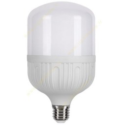 لامپ LED استوانه ای 20 وات مهتابی ( سفید  ) T80