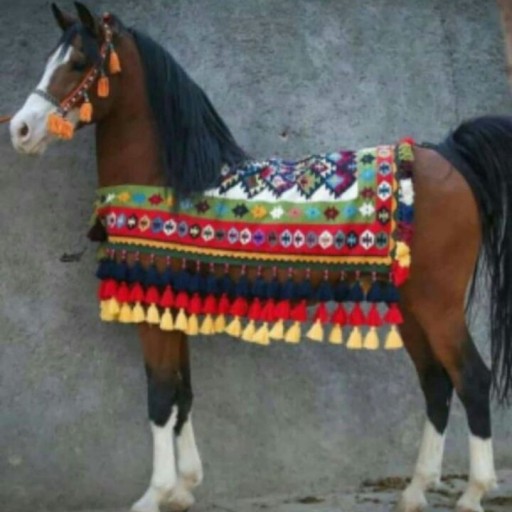 زین اسب،یه محصول خاص برای اسب سواران،خیلی جذاب و سنتی ،با زیبایی بی نظیر،سفارش پذیرفته میشود