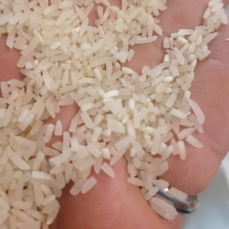  سرلاشه برنج فجر 20 کیلویی خوشپخت و تماشایی خالص
