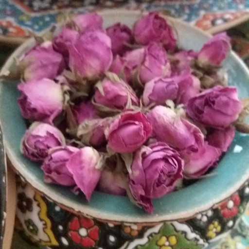 غنچه گل محمدی 50 گرمی از گلستان های سفیدشهر با بویی ماندگار