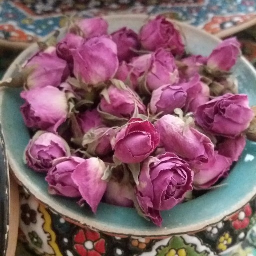 غنچه گل محمدی 50 گرمی از گلستان های سفیدشهر با بویی ماندگار