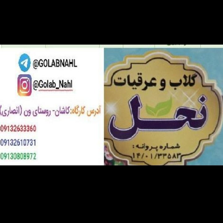 عرق زنجبیل نحل کاشان (1 لیتر)