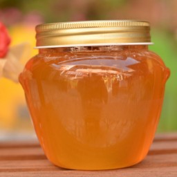  عسل طبیعی جنگلی  شمال 700 گرمی رس گیر شده (غالب زیرفون)