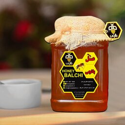 عسل طبیعی سبلان با ساکارز  زیر 3 (3 کیلوگرم) (خرید از زنبوردار نمونه و ارسال رایگان)