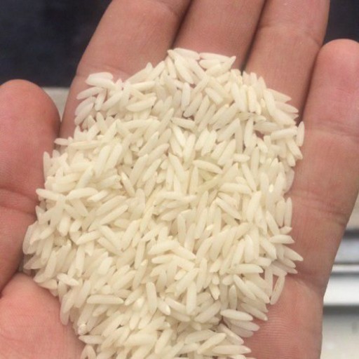 برنج طارم اعلا 10 کیلویی