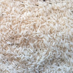 برنج هاشمی گیلان (مستقیم از برنجکوبی-شالیکوبی) 1کیلویی